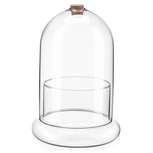 SOIMISS Mooskonservierte Blume Drinnen Moos Landschaft Container Blumenvase Pflanzen Flasche Ökosystem Terrarium Mikro-landschaftspflanzerflasche Pflanzen Terrarium Mini-Terrarium Glas von SOIMISS