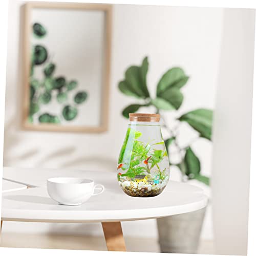 SOIMISS Ökologische DIY Glasflasche mit Holzverschluss Mikrolandschaft Pflanzgefäß für Zimmerdekoration Moos Terrarium Pflanzenvermehrungsstation Nachhaltiger Pflanzbehälter SOIMISS Ökologische DIY Glasflasche mit Holzverschluss Mikrolandschaft Pflanzgefäß für Zimmerdekoration Moos Terrarium Pflanzenvermehrungsstation Nachhaltiger Pflanzbehälter von SOIMISS