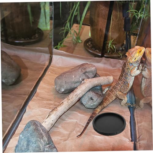 SOIMISS Reptilien Futternapf aus Abs Vielseitige Wasserschale und für Schildkröten Echsen Schlangen Klein und Leicht zu Reinigen Langlebiges Terrarium Zubehör für Gehege von SOIMISS