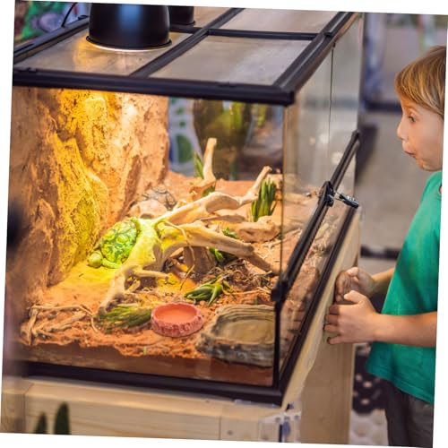 SOIMISS Reptilien Futterschale aus Resin Kompakt Langlebig Wasserschale für Terrarium Wassernapf Schildkröten Echsen Kleine Haustiere Geeignet SOIMISS Reptilien Futterschale aus Resin Kompakt Langlebig Wasserschale für Terrarium Wassernapf Schildkröten Echsen Kleine Haustiere Geeignet von SOIMISS