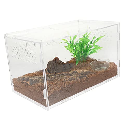 SOIMISS Reptilien Terrarium Transparente Aufzuchtbox für Frösche und Kleine Reptilien Belüftete Terrarienbox mit Teiligem Zubehör SOIMISS Reptilien Terrarium Transparente Aufzuchtbox für Frösche und Kleine Reptilien Belüftete Terrarienbox mit Teiligem Zubehör von SOIMISS