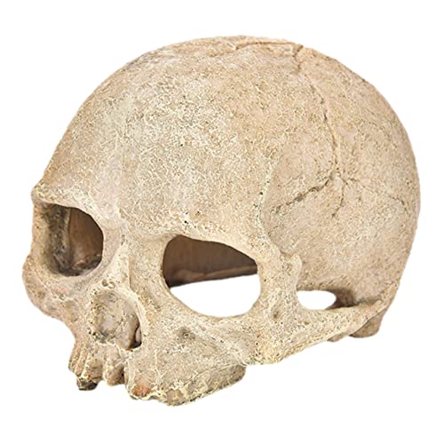 SOIMISS Reptilien Versteck Schädeldesign Aus Resin Für Aquarien Aquariumschädel Dekoration Für Fische Und Garnelen Halloween Stil Unterwasser Versteck Für Aquarienbewohner von SOIMISS