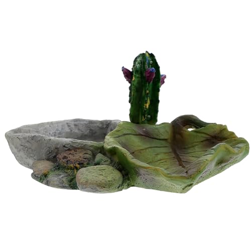 SOIMISS Reptilien Wasserschale für Schildkröten Eidechsen Schlangen und Spinnen Dekorative Fütterungsschale und Leicht zu Reinigen für Wasserversorgung und Futterbereitstellung von SOIMISS