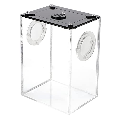 SOIMISS Reptilienbox aus für Eidechsen Schlangen Spinnen und Andere Haustiere Atmungsaktiver Brutkasten Leicht und Tragbar Perfektes Terrarium für Reptilienhaltung SOIMISS Reptilienbox aus für Eidechsen Schlangen Spinnen und Andere Haustiere Atmungsaktiver Brutkasten Leicht und Tragbar Perfektes Terrarium für Reptilienhaltung von SOIMISS