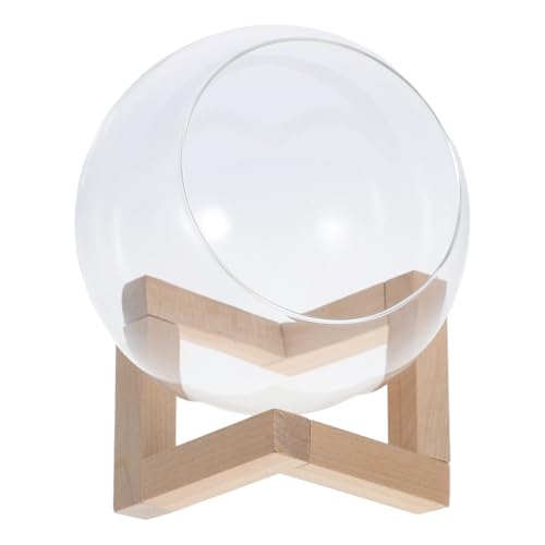 SOIMISS Rundes Glas Terrarium mit Holzständer Transparentes Pflanzgefäß Geneigte Öffnung für Einfache Pflege für Sukkulenten und Hydroponik Dekorative Tischpflanze für Büro und Zuhause von SOIMISS