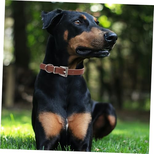 SOIMISS Verstellbares Pu-hundehalsband und Katzenhalsband Komfortabel Sanft Atmungsaktiv Haustier Halskette Schmuck für Kleine Hunde Welpen und Katzen S Kaffee von SOIMISS