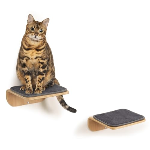 Katzenregale, Katzenwandstufen und Sitzstange, Katzennest, schwimmende Katzen-Klettermöbel aus Holz zum Hüpfen und Schlafen, mit Kratzkissen (Stufen) von SOJILET
