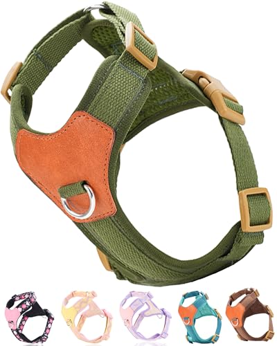 Hundegeschirr für große Hunde, kein Ziehen, Hundegeschirr mit 2 Leinenclips, Hundewestengeschirr (Grün, L) von SOLMOONY
