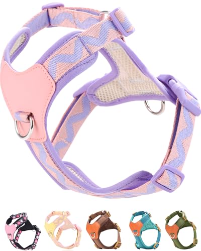 Purple Medium Hundegeschirr für mittelgroße Hunde, kein Ziehen, Hundegeschirr mit 2 Leinenclips, Welpengeschirr, Hundewestengeschirr (Lila, M) von SOLMOONY