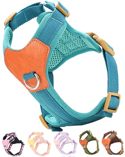 SOLMOONY Pink XS Hundegeschirr, kein Ziehen, 2 Leinenclips, Y-Typ-Design, mehrere Belastungspunkte, 2 Metall-Leinenringe, für kleine Hunde, Welpen, in Blau SOLMOONY Pink XS Hundegeschirr, kein Ziehen, 2 Leinenclips, Y-Typ-Design, mehrere Belastungspunkte, 2 Metall-Leinenringe, für kleine Hunde, Welpen, in Blau von SOLMOONY