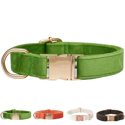 Samt-Hundehalsband für kleine, mittelgroße Hunde, strapazierfähiger, weicher Samt, Weiß Grün Orange Braun für Mädchen und Jungen, verstellbare Metallschnalle, Welpenhalsband, geeignet zum Laufen Samt-Hundehalsband für kleine, mittelgroße Hunde, strapazierfähiger, weicher Samt, Weiß Grün Orange Braun für Mädchen und Jungen, verstellbare Metallschnalle, Welpenhalsband, geeignet zum Laufen von SOLMOONY