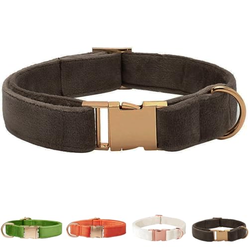 Samt-Hundehalsband für kleine, mittelgroße Hunde, strapazierfähiger, weicher Samt, Weiß Grün Orange Braun für Mädchen und Jungen, verstellbare Metallschnalle, Welpenhalsband, geeignet zum Laufen Samt-Hundehalsband für kleine, mittelgroße Hunde, strapazierfähiger, weicher Samt, Weiß Grün Orange Braun für Mädchen und Jungen, verstellbare Metallschnalle, Welpenhalsband, geeignet zum Laufen von SOLMOONY