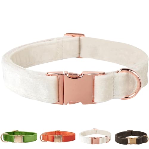 Samt-Hundehalsband für kleine, mittelgroße Hunde, strapazierfähiger weicher Samt, Weiß Grün Orange Braun für Mädchen und Jungen, verstellbare Metallschnalle, Welpenhalsband, geeignet zum Laufen Samt-Hundehalsband für kleine, mittelgroße Hunde, strapazierfähiger weicher Samt, Weiß Grün Orange Braun für Mädchen und Jungen, verstellbare Metallschnalle, Welpenhalsband, geeignet zum Laufen von SOLMOONY