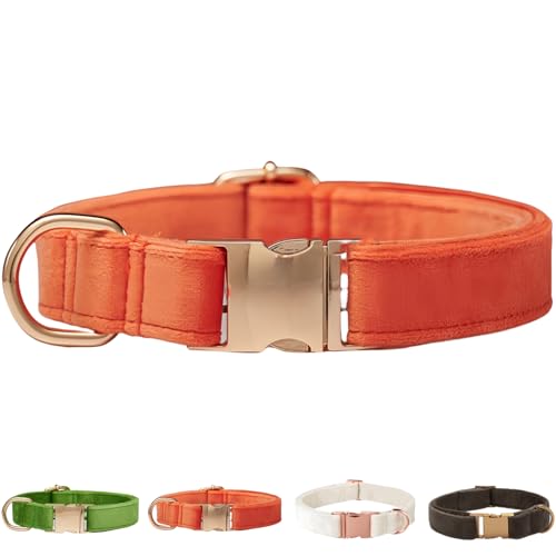 Samt-Hundehalsband für kleine, mittelgroße Hunde, strapazierfähiger weicher Samt, Weiß Grün Orange Braun für Mädchen und Jungen, verstellbare Metallschnalle, Welpenhalsband, geeignet zum Laufen Samt-Hundehalsband für kleine, mittelgroße Hunde, strapazierfähiger weicher Samt, Weiß Grün Orange Braun für Mädchen und Jungen, verstellbare Metallschnalle, Welpenhalsband, geeignet zum Laufen von SOLMOONY