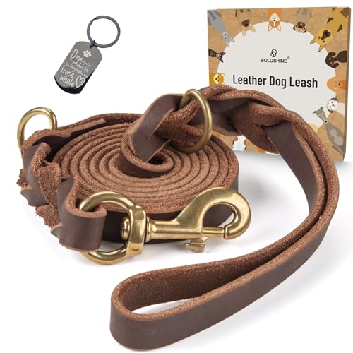 Soloshine Hundeleine aus Leder, 1,8 m, robuste Hundeleine mit drehbarem Kupferverschluss, starke Leder-Trainingsleine für große Hunde, mittelgroße und kleine Hunde (L) von SOLOSHINE