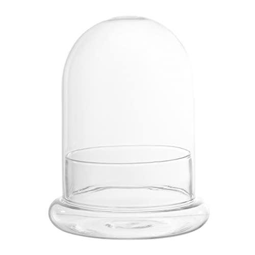 1Stück Glasflasche für Mikrolandschaften Ökologische Terrarium Vase Dekorative DIY Flaschengarten für Schlafzimmer Büro und Wohnzimmer Schlichtes Design Leicht 1Stück Glasflasche für Mikrolandschaften Ökologische Terrarium Vase Dekorative DIY Flaschengarten für Schlafzimmer Büro und Wohnzimmer Schlichtes Design Leicht von SOLUSTRE