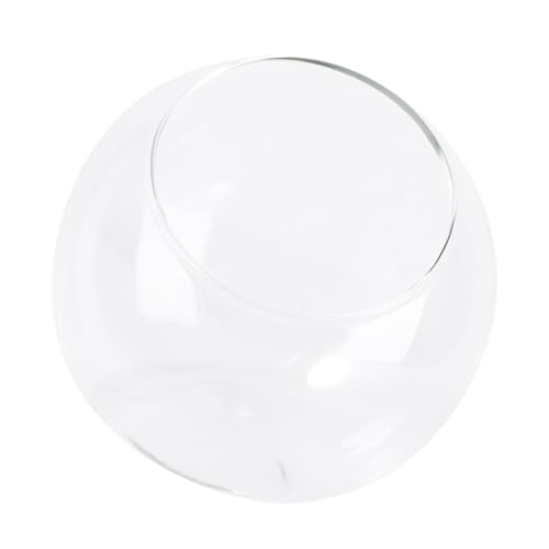 1Stück Mini Terrarium Glasflasche für DIY Mikrolandschaften Dekorationsglas für Schlafzimmer Wohnzimmer und Büro Langlebig Stilvolles Design von SOLUSTRE