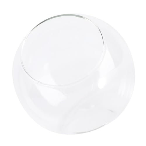 SOLUSTRE 1 Stück Ökologische Mikrolandschaftsflasche Pflanze Terrarium Glas Mini Drinnen Transparent Kugelpflanzer Terrarium Hochzeit Elegant Pflanzen Klein Baum Terrarienglas Winzig von SOLUSTRE