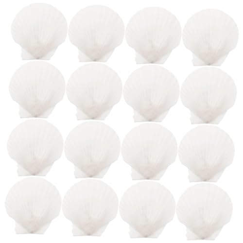 SOLUSTRE 16stücke Natürliche Große Jakobsmuscheln Aquarium Dekoration DIY Shell Verschönerung Handwerk Material Muscheln Zum Basteln Für Spiegel Ornament Kerzenarrangements von SOLUSTRE