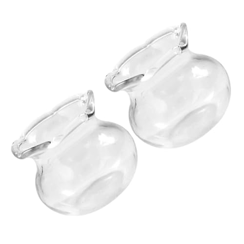 SOLUSTRE 2 Stück Fischschalen Miniatur-Aquarium Kleiner Fischtank Mini-spielzeugaquarium Betta-fischschale Winzige Gefälschte Fischschale Kleines Mini-Aquarium Glas Transparent von SOLUSTRE