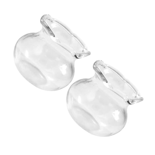 SOLUSTRE 2 Stück Kleiner Fischtank Mini Fischglas Miniatur-Aquarium Szenenzubehör Fischglas Aus Glas Winzige Gefälschte Fischschale Fischglas-Aquarium Fischglas Klein Transparent von SOLUSTRE