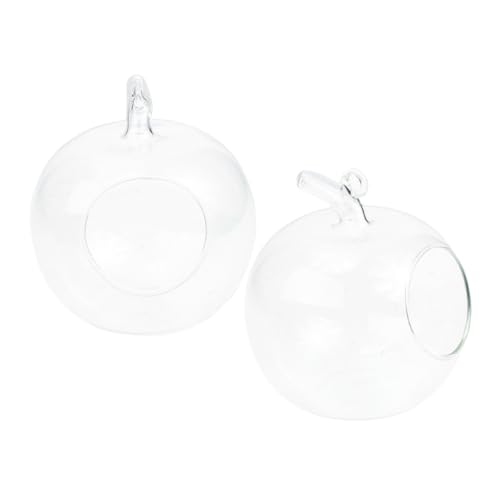 SOLUSTRE 2 Stück hydroponische Vase Terrariumpflanze Hydrokultur-Ökosystemflasche Wasserpflanzen Vase Transparentes Glasgefäß Apfel Glasvase Hängendes Terrarium aus Glas Miniaturgewächshaus von SOLUSTRE
