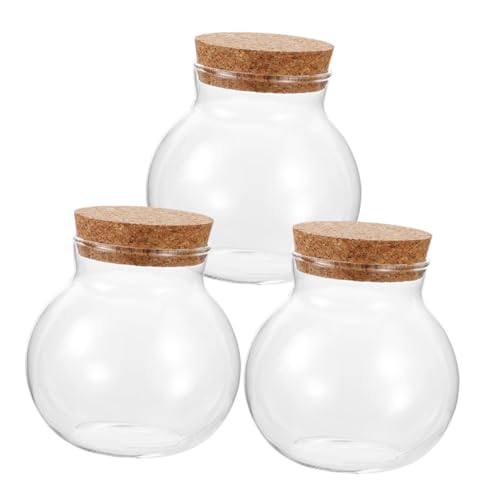 SOLUSTRE 3 Stück Mikrolandschaft Flasche Klarglas Display Globe für Moos Landschaften Terrarium Langlebiges für Kreative Dekoration und Stilvolle Präsentation von SOLUSTRE