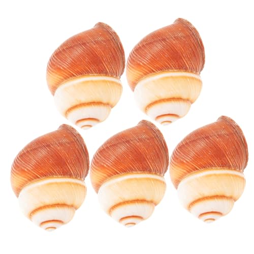 SOLUSTRE 5 Stück Natürliches Escargot-Schneckengehäuse Hitzebeständig und rutschfest Glatte Oberfläche Frei von Graten zum Backen und Servieren von Schnecken für Restaurant und Heimküche von SOLUSTRE