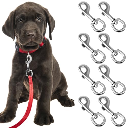 SOLUSTRE 8stücke Edelstahl Hundeleinen-karabinerhaken Swivel Snap Hooks Für Einfaches Handling Wetterfest Und Vielseitig Einsetzbar Für Und Training von SOLUSTRE