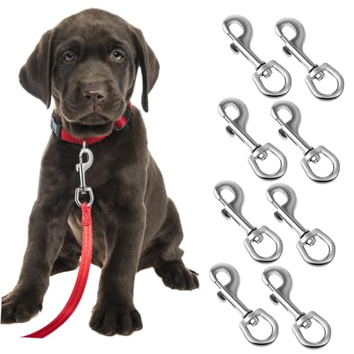 SOLUSTRE 8stücke Swivel Snap Hooks Für Hundeleinen Robuste Und Sichere Verbindung Für Hundehalsbänder Für Tägliche Und Training von SOLUSTRE