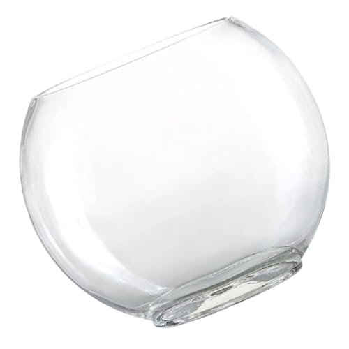 SOLUSTRE Empfindlicher Bett-Tank Pflanze Terrarienvase Kleiner Fischtank Aquarienschale Klares Fischbecken Transparente Flasche Pflanzen Terrarienschale Schale Pflanzer Glas von SOLUSTRE