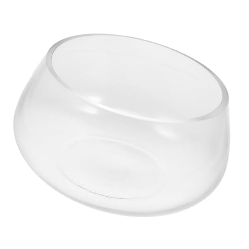 SOLUSTRE Glasschildkrötenpanzer Runde Fischschale aus Glas Aquariumschale Runde Fischschüssel Schreibtisch-Aquarium Clear Fish Bowl Glastank Desktop-Aquarium Fischglas aus Glas Transparent SOLUSTRE Glasschildkrötenpanzer Runde Fischschale aus Glas Aquariumschale Runde Fischschüssel Schreibtisch-Aquarium Clear Fish Bowl Glastank Desktop-Aquarium Fischglas aus Glas Transparent von SOLUSTRE