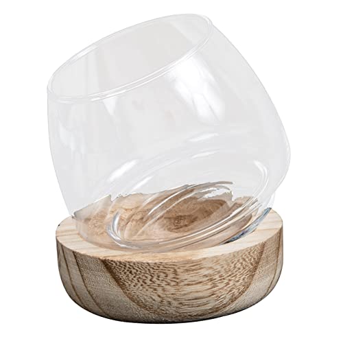 SOLUSTRE Glasvase -Fischtank Mikro-Landschaftsvase Landschaftsbastelflasche Mikro-Landschaftsflasche Mikro-Landschaftsbau-Flasche kleines Fischglas aus Glas hölzern SOLUSTRE Glasvase -Fischtank Mikro-Landschaftsvase Landschaftsbastelflasche Mikro-Landschaftsflasche Mikro-Landschaftsbau-Flasche kleines Fischglas aus Glas hölzern von SOLUSTRE
