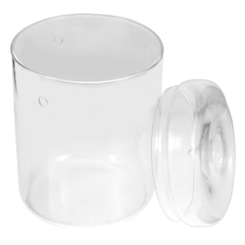 SOLUSTRE Mikro Landschaft Terrarium Glasflasche DIY Pflanzgefäß Ökologisches Moos Terrarium Dekoration Transparent Robustes Glas für Büro und Wohnraum von SOLUSTRE