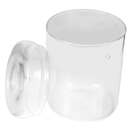 SOLUSTRE Mikrolandschafts DIY Glasflasche für Pflanzen Ökologische Terrarium Dekoration Kompakte Blumen und Mooslandschaft Büro und Wohnaccessoire von SOLUSTRE