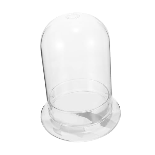 SOLUSTRE Pflanzenterrarium aus Dekorative Kuppel für Mikro Landschaften Ökologische Flasche für Sukkulenten und Blumen Vielseitige Glasvase für Kreative Dekorationen SOLUSTRE Pflanzenterrarium aus Dekorative Kuppel für Mikro Landschaften Ökologische Flasche für Sukkulenten und Blumen Vielseitige Glasvase für Kreative Dekorationen von SOLUSTRE