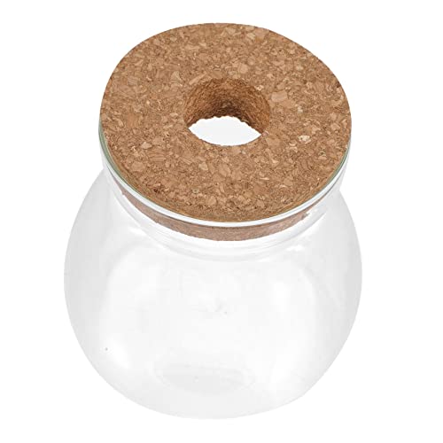 SOLUSTRE Terrarium Behälter mit Deckel Pflanzenterrarium für Hydroponische Pflanzen Design für Wohnzimmer Büro und Mittlere für Kreative Mikro von SOLUSTRE