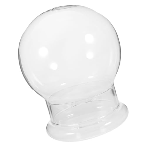 SOLUSTRE Terrarium Flaschengarten mit Großem DIY Sukkulenten Flasche Klares für Moos und Steindekoration Kompakter Pflanzbehälter für Tisch und Raumdeko von SOLUSTRE