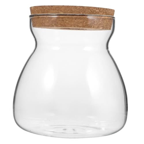 SOLUSTRE Terrarium Glasbehälter Hydroponische Pflanzenvase mit Deckel für Mikrolandschaften Dekoratives Glasgefäß für Zimmerpflanzen Design für Natürliche Innenräume von SOLUSTRE