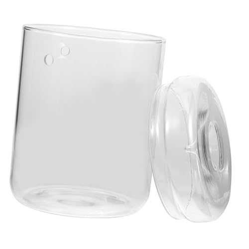 SOLUSTRE Terrarium Glasflasche für Pflanzen Dekorativer Pflanzbehälter aus Hochwertigem für Tischdekoration im Büro oder Zuhause Perfektes Gewächshaus für Sukkulenten und Moos von SOLUSTRE