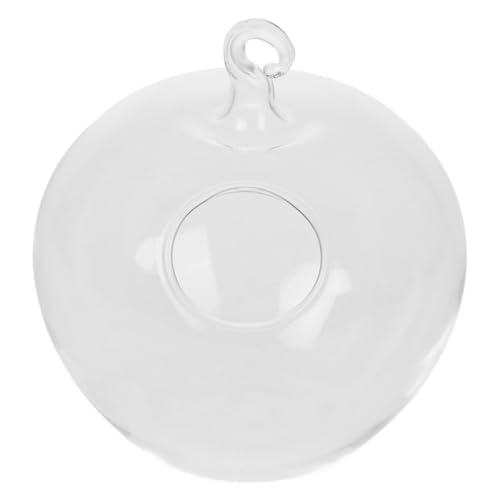 SOLUSTRE hängendes Fischglas Sukkulenten-Terrarium-Kit Ornament Display Stand Terrarium Bausatz selber Machen Metall Transparent SOLUSTRE hängendes Fischglas Sukkulenten-Terrarium-Kit Ornament Display Stand Terrarium Bausatz selber Machen Metall Transparent von SOLUSTRE