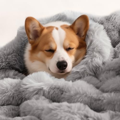 Hundedecke, ultraweich, flauschig, Kunstfell, Katzendecken für Innenkatzen, ultraweiches Plüsch-Kunstfell, maschinenwaschbar, wendbar, Haustier-Überwurfschutz für Couch-Möbel, 99 x 76 cm, Grau Hundedecke, ultraweich, flauschig, Kunstfell, Katzendecken für Innenkatzen, ultraweiches Plüsch-Kunstfell, maschinenwaschbar, wendbar, Haustier-Überwurfschutz für Couch-Möbel, 99 x 76 cm, Grau von SOMAHE