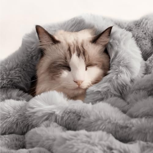 Katzendecke für Indoor-Katzen, ultraweiches Plüsch-Kunstfell, Kätzchen-Decken, maschinenwaschbar, wendbar, Haustier-Überwurfschutz für Couch-Möbel, 53,3 x 45,7 cm, Grau von SOMAHE