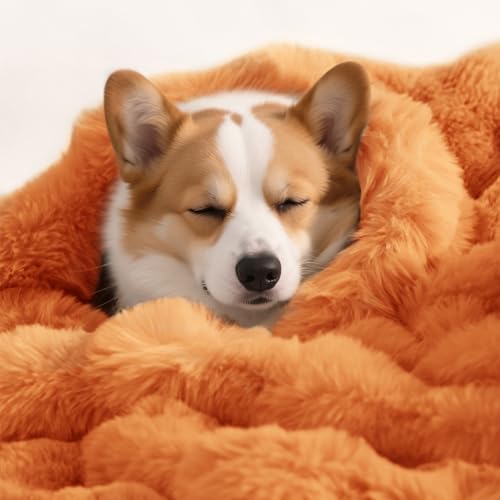 SOMAHE Hundedecke, ultraweich, flauschig, Kunstfell, Katzendecken für Innenkatzen, ultraweiches Plüsch-Kunstfell, maschinenwaschbar, wendbar, Haustier-Überwurfschutz für Couch-Möbel, 99 x 76 cm SOMAHE Hundedecke, ultraweich, flauschig, Kunstfell, Katzendecken für Innenkatzen, ultraweiches Plüsch-Kunstfell, maschinenwaschbar, wendbar, Haustier-Überwurfschutz für Couch-Möbel, 99 x 76 cm von SOMAHE