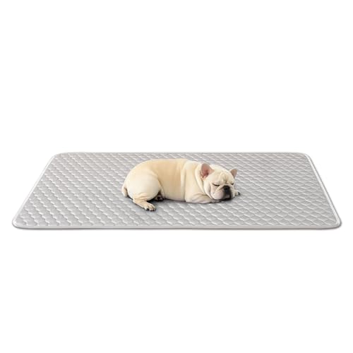SOMAHE Hundekäfig-Pads für Hundekäfige, weiches Trikot-Hundebett, rutschfeste Hundebett-Matte für Kisten, langlebig, waschbar, Ganzjahres-Haustierbetten, Grau, 61 x 45 x 1 cm SOMAHE Hundekäfig-Pads für Hundekäfige, weiches Trikot-Hundebett, rutschfeste Hundebett-Matte für Kisten, langlebig, waschbar, Ganzjahres-Haustierbetten, Grau, 61 x 45 x 1 cm von SOMAHE