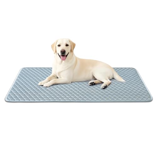 SOMAHE Hundekäfigunterlage für Hundekäfige, weiches Trikot-Hundehütten-Pad, rutschfeste Hundebett-Matte für Kisten, langlebig, waschbar, für alle Jahreszeiten, blau, 106 x 71 x 1,2 cm SOMAHE Hundekäfigunterlage für Hundekäfige, weiches Trikot-Hundehütten-Pad, rutschfeste Hundebett-Matte für Kisten, langlebig, waschbar, für alle Jahreszeiten, blau, 106 x 71 x 1,2 cm von SOMAHE
