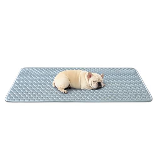 SOMAHE Hundekäfigunterlage für Hundekäfige, weiches Trikot-Hundehütten-Pad, rutschfeste Hundebett-Matte für Kisten, langlebig, waschbar, für alle Jahreszeiten, blau, 61 x 45 x 1 cm SOMAHE Hundekäfigunterlage für Hundekäfige, weiches Trikot-Hundehütten-Pad, rutschfeste Hundebett-Matte für Kisten, langlebig, waschbar, für alle Jahreszeiten, blau, 61 x 45 x 1 cm von SOMAHE