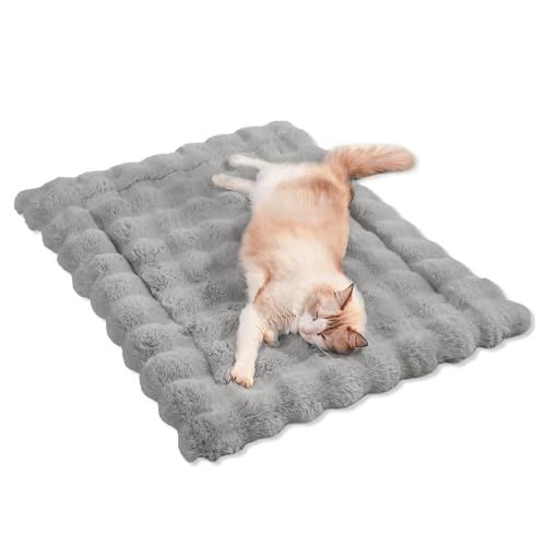 SOMAHE Katzenbett, Plüsch-Kunstfell, Haustierkissen für Innenkatzen mit rutschfester Unterseite, gemütliches Kätzchenbett für Tragetaschen, Hunde- und Welpenfreundlich, 58,4 x 38,1 cm, mittelgrau SOMAHE Katzenbett, Plüsch-Kunstfell, Haustierkissen für Innenkatzen mit rutschfester Unterseite, gemütliches Kätzchenbett für Tragetaschen, Hunde- und Welpenfreundlich, 58,4 x 38,1 cm, mittelgrau von SOMAHE