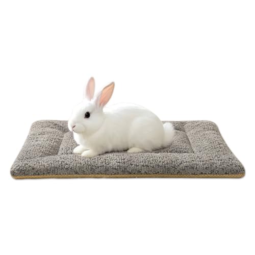 SOMAHE Meerschweinchenbett, 3D-Schnee-Fleece, waschbar, Hasenbetten, Hamster-Bettwäsche-Matten, weich und warm, für Innenbereich, Kleintierbett, Grau, 25,4 x 34,4 x 2,5 cm SOMAHE Meerschweinchenbett, 3D-Schnee-Fleece, waschbar, Hasenbetten, Hamster-Bettwäsche-Matten, weich und warm, für Innenbereich, Kleintierbett, Grau, 25,4 x 34,4 x 2,5 cm von SOMAHE