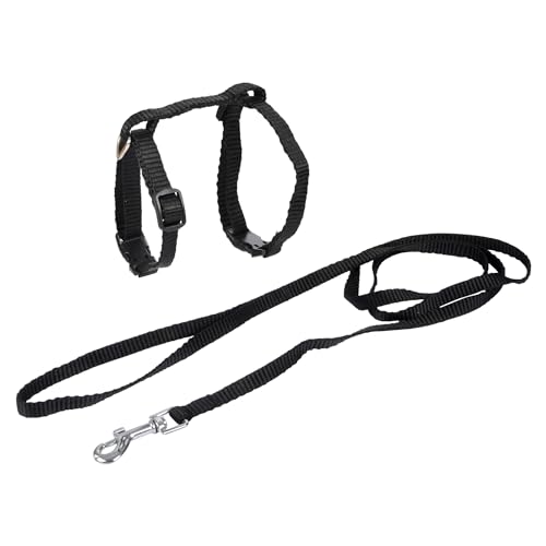Love Story Set Geschirr und Leine für Katzen, 20 > 30 x 1 cm, 120 x 1 cm, Schwarz Love Story Set Geschirr und Leine für Katzen, 20 > 30 x 1 cm, 120 x 1 cm, Schwarz von SONDEY